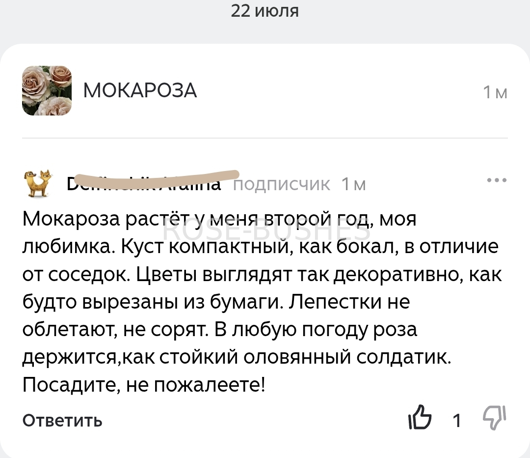 ��������. Mokarosa. (������.)